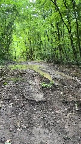 The video shows a muddy road or path through a forest. The road is filled with ruts and standing water. The trees are green and lush. A vehicle approaches from the right. The vehicle's front tire is visible, covered in mud. The wheel rim is white. The tire is labeled "Maxxis Bighorn."