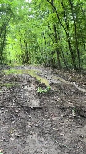 Vehicle navigates muddy forest road in Bulgaria