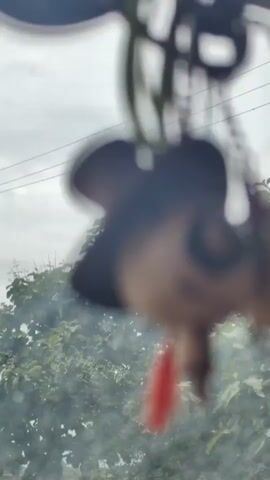 The video shows two small wooden dolls hanging from a chain. The doll on the left has a black hat and a skull-like face with one eye open. It has red strings for hair. The doll on the right has red hair and a red outfit. The dolls are hanging in front of a blurry background that appears to be trees and a cloudy sky. The video is shaky, suggesting it may have been filmed from a moving vehicle.