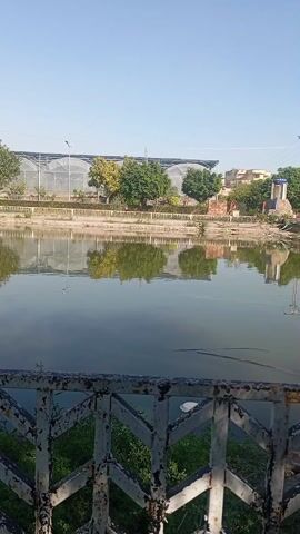 The video shows a calm lake with reflections of trees and buildings. In the foreground is a rusty, white painted metal fence. Some green vegetation grows near the base of the fence. Across the lake, there's a line of trees, some short hedges, and a large greenhouse-like structure. Further to the left, a light-colored building stands. The sky is a clear blue. The camera pans slightly to the left during the video.