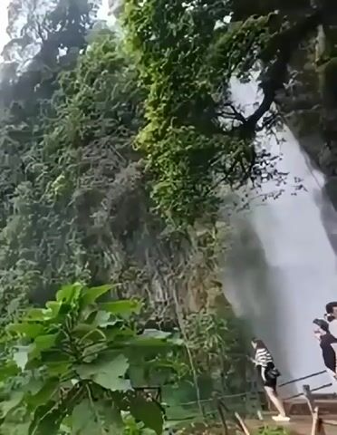 The video shows a tall, lush green cliff face covered in dense vegetation. In the foreground, there are several large green leaves of a plant. As the video progresses, a waterfall becomes visible cascading down the cliff. Several people are present near the base of the waterfall, standing on a wooden platform. One person is taking a photo of the waterfall. The overall environment is natural and appears to be a tourist destination.