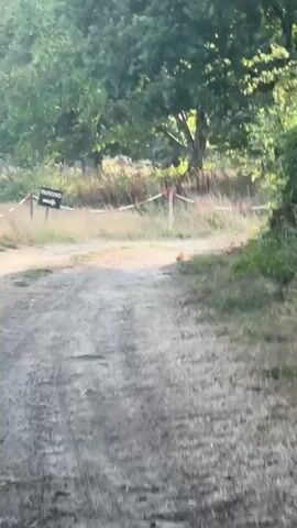 A first-person perspective video shows a dirt path winding through a wooded area. The path is lined with dry grass and some green foliage. In the background, there are trees and a boundary marked by red and white tape on posts. The camera appears to be moving, possibly while walking or riding. A small, reddish-brown animal, likely a squirrel, is visible for a brief moment near the tape barrier before disappearing. The overall scene suggests an outdoor environment, possibly a park or nature trail, during daylight.