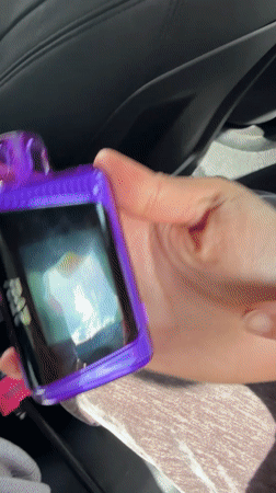Women vaping in car captured in Epsom area