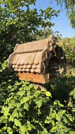 Mikhaylovka, Russia