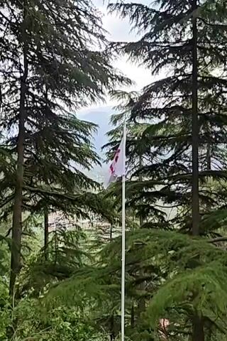 The video shows a flag waving in the wind, with a background of trees and mountains. The flag is white with a red design on it, consisting of a circle and a shape that looks like a stylized letter "G". The trees are tall and green, and the mountains are in the distance, partially obscured by the trees. The sky is overcast, and the overall scene suggests a mountainous or forested area.