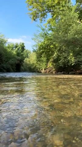 This media file is a video showcasing a natural river scene. The camera is positioned low, at water level, looking downstream. The water is clear and shallow, with visible pebbles and rocks on the riverbed. Gentle ripples and small waves move across the surface, reflecting the sunlight.

The river is bordered by lush green trees and foliage on both banks, creating a dense, verdant tunnel effect in the distance. Sunlight filters through the leaves, dappling the water and the surrounding vegetation. The sky above is a vibrant blue with a few wispy white clouds.

The time of day appears to be morning or early afternoon, given the bright sunlight and clear sky. The weather is fair and sunny, creating a peaceful and idyllic atmosphere. The location cues, such as the vegetation and the clear, flowing river, suggest a natural environment, likely in a temperate or Mediterranean climate. Given the context of Mevoot HaHermon Regional Council, Israel, this could be a stream or river within that region, which is known for its natural beauty and agricultural areas.

There are no people or man-made objects visible in the video. The focus is entirely on the natural beauty of the river and its surroundings. The overall emotion evoked is one of tranquility, serenity, and the peacefulness of nature.

There is no visible text within the media file.
