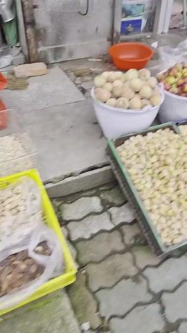 The video pans across a street-level produce stand displaying a variety of fruits and vegetables. In the foreground, a large green plastic crate is filled with small, light-colored kernels or seeds. To the left of this crate, a white bucket is overflowing with light-skinned peaches. Behind these, another white bucket holds a mix of red and yellow plums. Further back, two white buckets are filled with similar red and yellow plums. To the right of the plums, a white bucket contains yellow fruits, possibly lemons. Adjacent to the yellow fruits, a woven basket is filled with round, red fruits that appear to be tomatoes. In the mid-ground, a shallow orange bowl holds small, bright green spherical items. To the right, several crates filled with light-brown items, possibly nuts or seeds, are visible. Behind the produce, a white basket on a blue crate contains red tomatoes. An outdoor chair with a green metal frame is positioned to the upper left of the frame. The ground is paved with interlocking grey bricks, some of which have dark, parallel lines running through them. A wall, likely part of a building, is visible in the background, with a doorway and a white air conditioning unit. The scene appears to be outdoors, likely a market or a storefront. There are no people clearly visible in the frame.