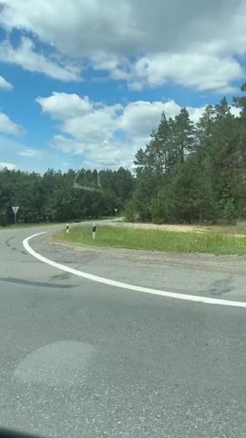 A video recorded from inside a vehicle shows a road passing through a wooded area. The road is paved with asphalt and has a white line marking the lane. On the left side of the road, there are traffic signs, including a speed limit sign of 100 and a warning sign indicating wild animals. The trees are predominantly pine trees, forming a dense forest on both sides of the road. The sky is blue with scattered white clouds. The camera appears to be mounted on the dashboard or windshield of the vehicle, with some reflections and smudges visible on the glass. The video captures the movement of the vehicle along the road, with the scenery passing by.