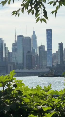 This is a vertical, eye-level, medium shot of a cityscape framed by lush green foliage in the foreground and the middle ground. The dominant subjects are a cluster of tall, modern skyscrapers that make up the city skyline. These buildings vary in height, architectural style, and color, with some appearing to be under construction, indicated by visible scaffolding. A body of water, likely a river or harbor, separates the viewer from the city. On the water, a tugboat is visible, contributing to the sense of urban activity.

The scene is set on a bright, clear day, suggesting pleasant weather. The sunlight casts a soft glow on the buildings and the water, and the sky is a pale blue with some wispy clouds. The foliage in the foreground and middle ground is vibrant green and appears healthy, adding a natural element to the urban landscape. The overall mood is serene yet bustling, capturing the dynamic contrast between nature and the metropolis.

While there is no visible text in the media file, the architectural style of the skyscrapers, particularly the presence of prominent glass facades and varied heights, strongly suggests a major metropolitan area. The specific mention of Weehawken, New Jersey, places this view across the Hudson River from Manhattan, New York City, a famous and recognizable urban panorama. The time of day appears to be daytime, likely late morning or afternoon, given the brightness of the light.