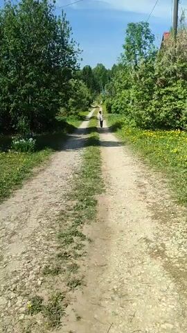 A child in a striped shirt, camouflage pants, and a baseball cap walks along a dirt road towards a person in the distance. The road is lined with trees and yellow flowers. The sky is blue and sunny.