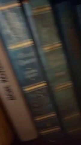 The video displays a close-up view of a bookshelf filled with books. The books are arranged vertically, with their spines facing outward. The lighting is dim, suggesting an indoor setting, possibly a library or a personal collection. The camera slowly pans across the bookshelf, revealing a variety of book covers and titles.

Some of the books have decorative bindings with gold lettering, indicating they might be older or collector's editions. The colors of the book spines range from deep green and teal to orange and purple. One book in particular, with a purple cover, has visible text that appears to be in a Latin-based alphabet, possibly Lithuanian, given the location context. The text includes phrases like "STASYS ŠIRKAUSKAS" and "VARDU ŽINY." Another book with an orange spine has faint text that is difficult to read. Several other books have green covers with gold embellishments and text that is also largely illegible due to the blurriness and lighting. The overall impression is that of a well-stocked bookshelf, possibly containing a mix of classic literature and specialized texts. The scene is static, focusing solely on the books themselves. There are no people or animals visible in the frame. The camera movement is a slow, steady pan, creating a sense of gentle exploration of the collection.
