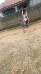 Morning scenes from a neighborhood in Rido, Nigeria