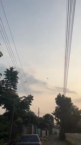 The video shows a red balloon floating in the sky. The balloon is visible against a backdrop of light gray clouds. There are some trees and power lines visible in the foreground, slightly obscuring the view of the balloon. The sky appears to be overcast and the lighting is somewhat muted.