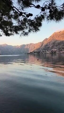 The video shows a body of water, likely a lake or a bay, surrounded by mountains. The water is calm, with some ripples visible on the surface. A tree branch with pine cones hangs from the top of the frame. The mountains in the background are illuminated by the rising or setting sun, casting a warm glow. There are some small buildings or houses visible along the coastline. Several birds can be seen flying in the distance. The scene is peaceful and serene.
