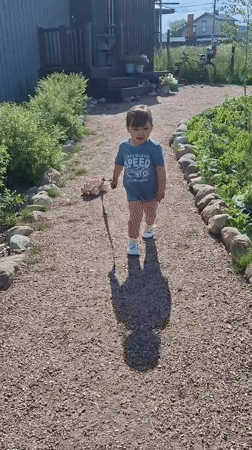Child plays with pink toy on gravel path in Kempelevo
