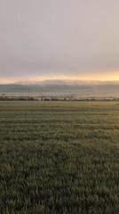 Sunrise observed over misty mountains near Ostrets, Bulgaria