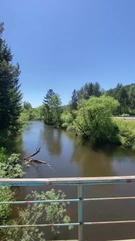 The video shows a river flowing through a wooded area on a sunny day. A bridge railing is in the foreground, with green trees and a blue sky visible. The river appears calm, with reflections of the trees on its surface. In the background, there is a dirt road and more trees.
