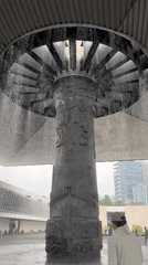 Afternoon at Anthropology Museum and Chapultepec Park, Mexico City