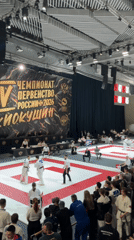 Kyokushin karate championship held in Mit'kino arena