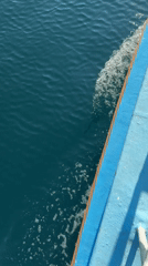 Boat journey creates wake in turquoise waters off Acapulco