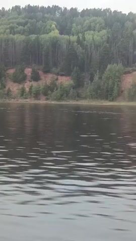 The video shows a view from inside a boat or cabin, looking out at a body of water. The water is calm with gentle ripples. In the background, there is a steep, tree-covered bank with exposed reddish-brown soil on its lower slopes. The trees are dense, and some appear to be bare or dead on the upper bank. The sky is overcast, creating diffused light. The interior of the boat or cabin is visible along the edges of the frame, with white paneling and a dark window frame. The speakers are discussing flooding, mentioning that "5 meters" have been flooded.