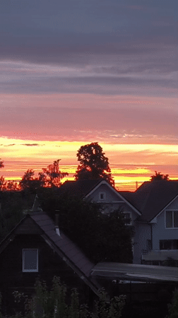 Summer sunset and garden blooms captured in Laskino, Russia
