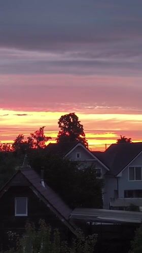 Summer sunset and garden blooms captured in Laskino, Russia