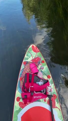 A first-person view of a paddleboard on calm water, the board decorated with a red and gold koi fish design and other floral elements. A pink life vest is secured on top of the board, along with a pink inflatable cushion. The water is clear, with visible aquatic plants growing beneath the surface. The board is moving slowly through the water, creating ripples. The edge of the paddleboard is visible in the foreground, and the surrounding vegetation is reflected in the water.
