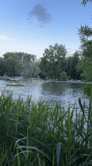 Paddle boats enjoy peaceful afternoon on Moscow park lake