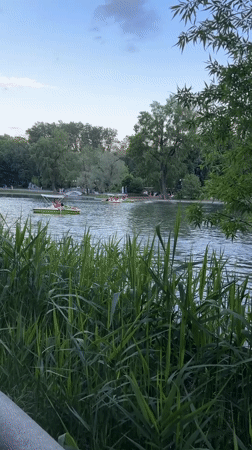 Paddle boats enjoy peaceful afternoon on Moscow park lake