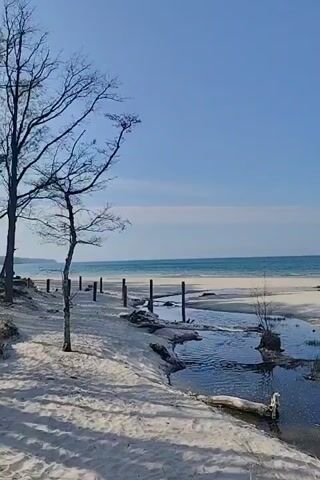 The video pans across a beach scene with a clear blue sky dotted with puffy white clouds. The sandy beach stretches out to a calm, blue body of water with a light horizon line. In the foreground, there's a small, winding stream that reflects the sky and trees, partially covered with white sand. Several barren trees are scattered on the sand, some standing in the stream, and some lined up by a weathered wooden fence. A few people can be seen in the distance walking on the beach. The weather appears to be clear and sunny.