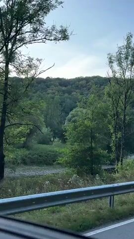 The video shows a view from a moving vehicle looking out at a roadside scene. In the foreground, a metal guardrail runs along the edge of an asphalt road. Beyond the guardrail, there is a grassy verge and then dense green foliage, with several trees visible. One tall, slender tree with thin branches and sparse leaves stands out prominently. In the middle ground, a body of water, possibly a river or stream, can be seen winding through the trees. The background is dominated by a heavily wooded hill or mountainside, covered in a variety of trees. The sky is visible at the top of the frame, appearing pale blue with a few wispy clouds. As the video progresses, a dark-colored car drives into view from the right side of the frame and proceeds down the road.