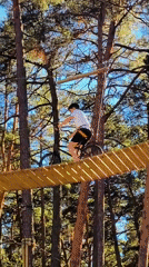 Afternoon on a treetop rope course in Jūrmala's pine forest