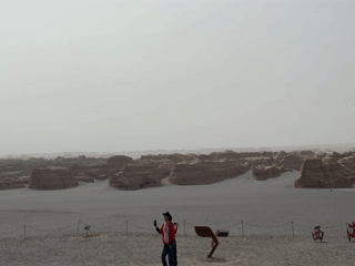 Desert visitors documented near Dunhuang's yardang formations at dawn