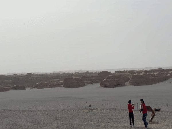 Desert visitors documented near Dunhuang's yardang formations at dawn