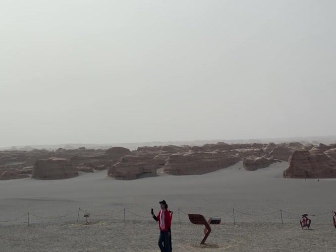 Desert visitors documented near Dunhuang's yardang formations at dawn