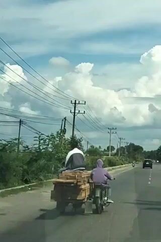 The video captures a roadside scene from a moving vehicle. In the foreground, a person is riding on the back of a motorcycle, facing away from the camera. They are sitting on a large stack of wooden planks, which are secured with ropes. The motorcycle is being driven by another person, also facing away from the camera and wearing a purple hoodie. The motorcycle is traveling along a paved road. The environment consists of lush green vegetation on the left side of the road and a line of palm trees on the right. Overhead, a network of power lines crisscrosses the sky, supported by utility poles. The sky is a mix of blue with large, fluffy white clouds. The video transitions through several slightly different angles of this same scene as the vehicle moves forward.