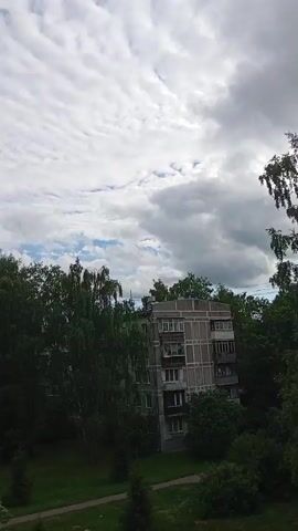This is a vertical video with a sky full of clouds and trees. In the foreground, there are tall green trees and a small section of a grassy area. In the middle ground, there is a multi-story building with balconies and windows. The sky is overcast with a mix of light and dark clouds. The overall scene depicts a residential area with natural elements.