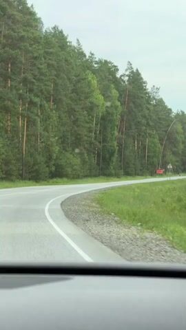 This media file captures a view from a vehicle traveling along a paved road that curves through a dense forest of tall pine trees. The road has white lane markings and a gravel shoulder. Sunlight filters through the trees, suggesting it is daytime, and the sky is overcast, indicating cloudy or hazy weather.

On the right side of the road, there are several signs. One is a triangular warning sign with a red border and a black symbol that appears to be a diagram of a road junction with a main road and a side road. Further down the road, other signs are visible but unreadable. In the distance, mountains can be seen through a gap in the trees.

A prominent feature along the right side of the road is a tall, slender tree that bends dramatically over the road, its trunk arching over the asphalt. A red rectangular object, possibly a sign or a piece of equipment, is affixed to a pole near this bent tree.

The overall scene evokes a sense of travel through a remote, natural landscape. The camera is positioned inside a vehicle, looking out through the windshield, as evidenced by the dark frame at the bottom of the image. The atmosphere is calm and serene, with no people visible. The location cues, such as the road type, dense coniferous forest, and mountainous terrain, are consistent with the provided context of Ust'-Sema, Russia.
