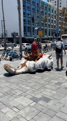 Sunny Tel Aviv morning: beach vibes and an Avatar cosplay