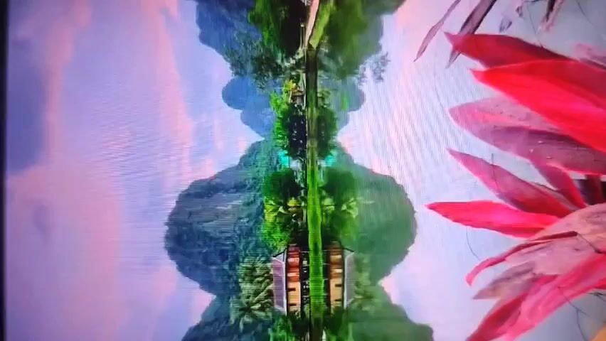 The video shows a vertically-oriented shot of a scene reflected in water. The reflection includes mountains, trees, and what appears to be a building or group of buildings. The sky is visible in the reflection, displaying a mix of blue and light pink colors. In the foreground, on the right side of the frame, is a cluster of pink and red flower petals, slightly out of focus.  The quality of the video suggests it was taken from a television screen.