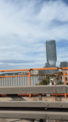 Bridge crossing captured on video in Belgrade