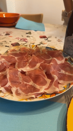 Milan home evening: charcuterie, wine, chocolate, and cats