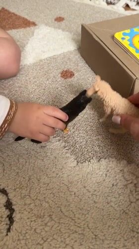 Child and adult play with toy animals in Odintsovo