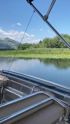This is a POV shot from a boat cruising on a calm lake, likely in Prevlaka, Montenegro. The water is a deep blue and reflects the bright, sunny sky and a line of lush green trees. In the foreground, the metallic railing and seating of the boat are visible, suggesting a leisurely outing. The boat is moving towards a bank lined with reeds and a dense forest. A large patch of lily pads covers a section of the water, with a dark-colored bird standing on one of them. Beyond the trees, a hazy, mountainous landscape can be seen under a clear blue sky with a few wispy clouds. The overall impression is one of tranquility and natural beauty on a warm, pleasant day. There is no visible text in the media.