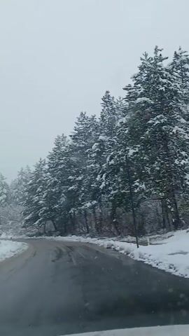 The video shows a road covered in snow, with snow-covered trees lining the side of the road. The road is wet from melting snow. The sky is gray and overcast, and snow is falling lightly. The camera appears to be mounted inside a vehicle moving slowly on the road.