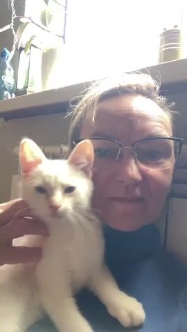 A woman with glasses and her hair in a bun, wearing a dark blue turtleneck, holds a white kitten in her arms. The kitten is looking away from the camera and appears to be licking or nibbling the woman's chin or cheek. The woman is smiling and looking at the camera. The background shows a shelf with bottles and containers, as well as a radiator. The lighting is bright, suggesting it might be daytime.