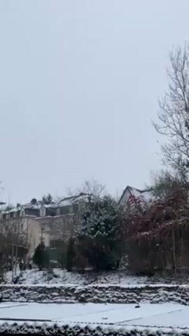 The video displays a snowy landscape with houses and trees. The scene is overcast and appears to be during daylight. Snow covers the ground and rooftops. Various trees and bushes are scattered throughout the landscape, some covered in snow. The houses are in the background. The camera pans slowly from left to right.