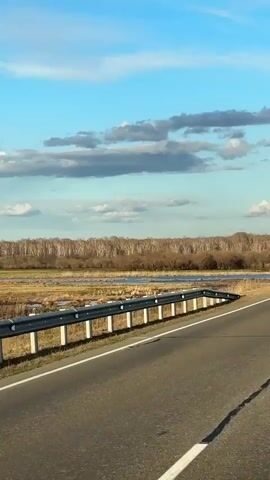 The video shows a landscape from a moving vehicle on a straight, asphalted road marked with white lines. A metal barrier runs parallel to the road on the left. Beyond the barrier is a marshy area with water, sparse vegetation, and a line of trees in the background. The sky is blue with scattered grey and white clouds. Other vehicles are visible far ahead on the road. The scene appears to be captured on a sunny day.