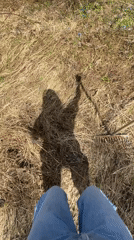 Person rakes dried grass in Malakhovka yard work session